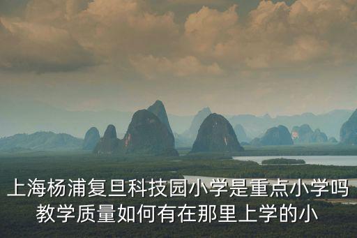 復旦科技園小學，復旦科技園小學的介紹