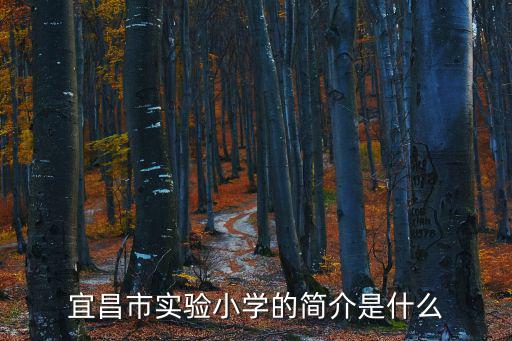 宜昌市實(shí)驗(yàn)小學(xué)的簡介是什么