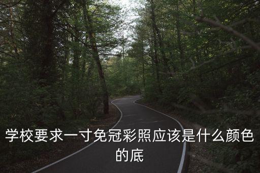 學校要求一寸免冠彩照應該是什么顏色的底