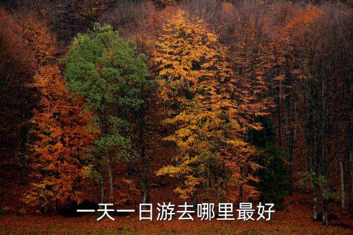 一天一日游去哪里最好