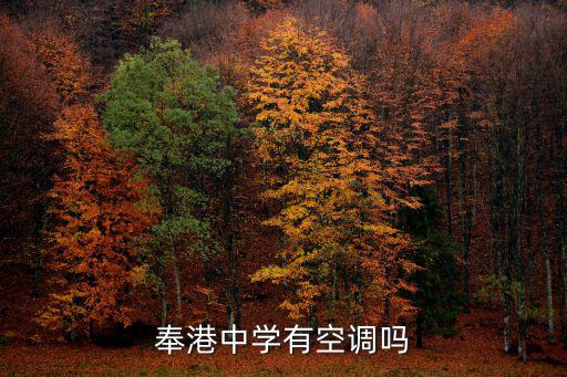 奉港中學(xué)有空調(diào)嗎