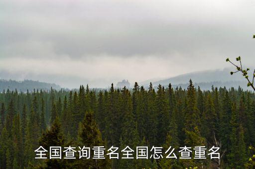全國查詢重名全國怎么查重名