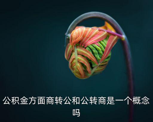 商轉公，公積金方面商轉公和公轉商是一個概念嗎