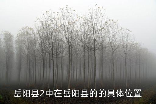 岳陽縣2中在岳陽縣的的具體位置
