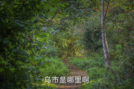 烏市是哪里啊