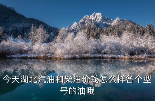 今天湖北汽油和柴油價錢怎么樣各個型號的油哦