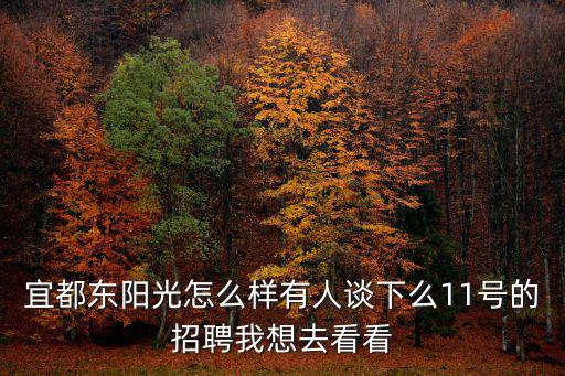 宜都東陽光怎么樣有人談下么11號的招聘我想去看看
