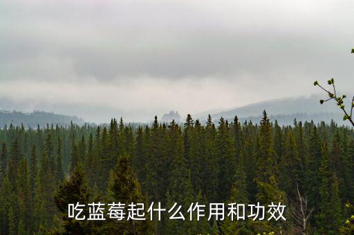 吃藍莓起什么作用和功效
