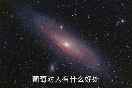 葡萄對人有什么好處
