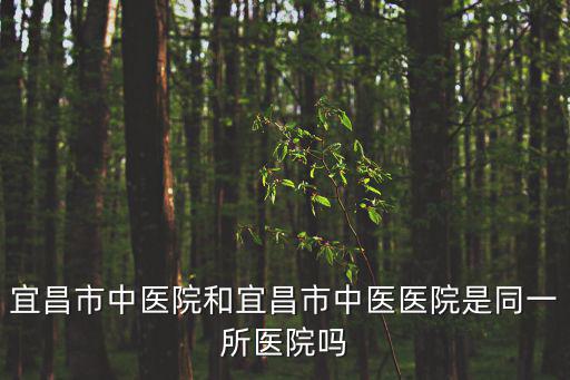 宜昌市中醫(yī)院和宜昌市中醫(yī)醫(yī)院是同一所醫(yī)院嗎