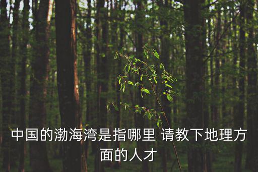 中國的渤海灣是指哪里 請教下地理方面的人才