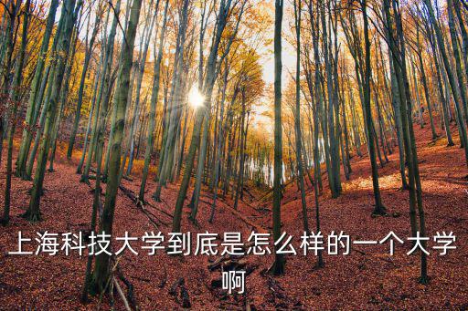 上海科技大學到底是怎么樣的一個大學啊