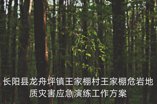 長陽縣龍舟坪鎮王家棚村王家棚危巖地質災害應急演練工作方案