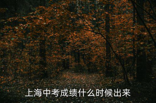上海中考成績什么時候出來