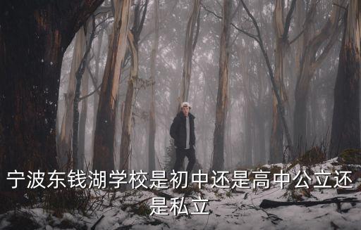 寧波東錢湖學校是初中還是高中公立還是私立