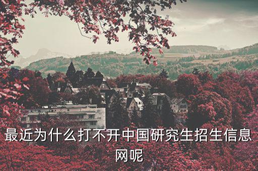 最近為什么打不開中國研究生招生信息網(wǎng)呢