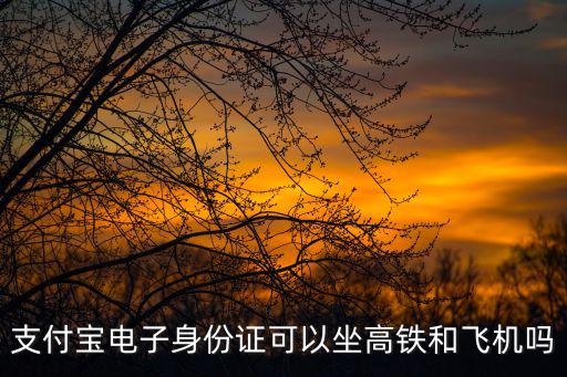 支付寶電子身份證可以坐高鐵和飛機嗎