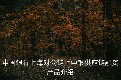 中國銀行上海對(duì)公鏈上中銀供應(yīng)鏈融資產(chǎn)品介紹