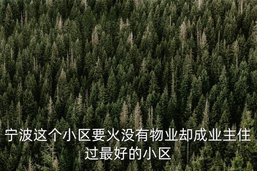 寧波這個小區要火沒有物業卻成業主住過最好的小區