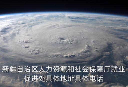 新疆自治區人力資源和社會保障廳就業促進處具體地址具體電話