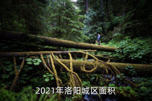 2021年洛陽城區面積