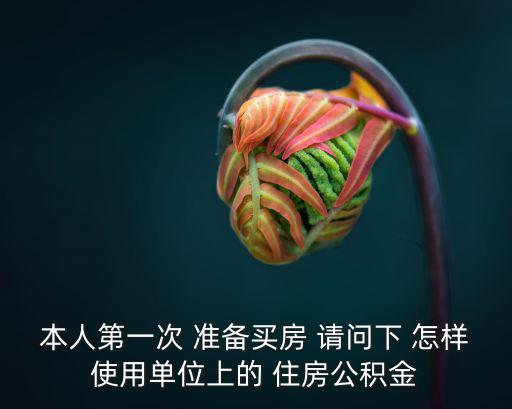 本人第一次 準備買房 請問下 怎樣使用單位上的 住房公積金