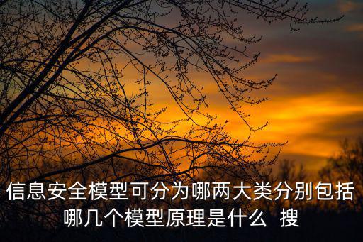 信息安全模型可分為哪兩大類分別包括哪幾個模型原理是什么  搜