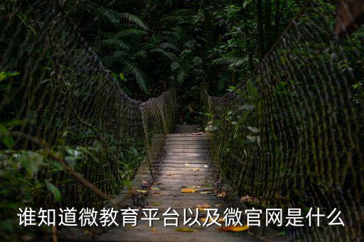 誰知道微教育平臺以及微官網是什么