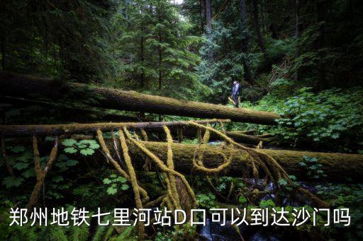 鄭州地鐵七里河站D口可以到達沙門嗎