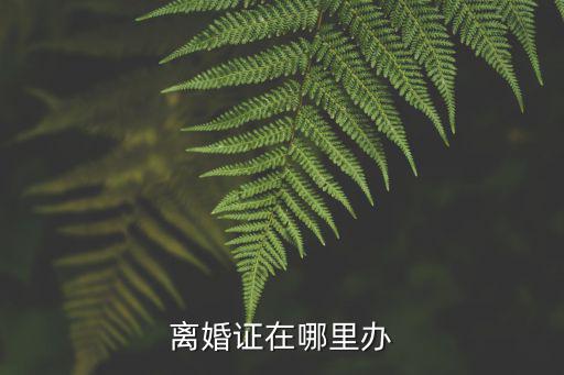 離婚證在哪里辦