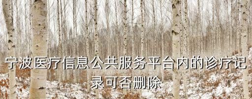 寧波醫(yī)療信息公共服務(wù)平臺(tái)內(nèi)的診療記錄可否刪除