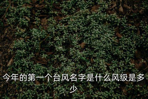 今年的第一個臺風名字是什么風級是多少