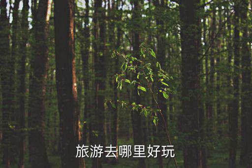 旅游去哪里好玩