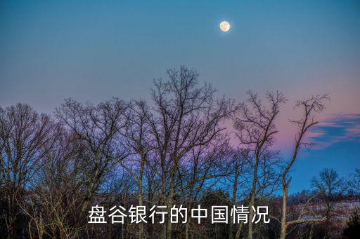 盤谷銀行的中國情況