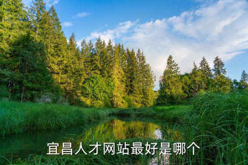 宜昌人才網站最好是哪個