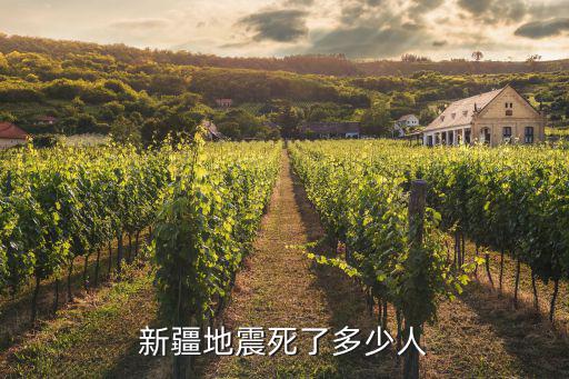 新疆地震死了多少人