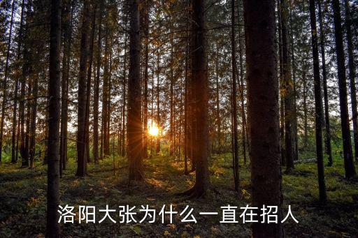 洛陽大張，洛陽大張總部在什么地方
