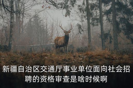 新疆自治區交通廳事業單位面向社會招聘的資格審查是啥時候啊