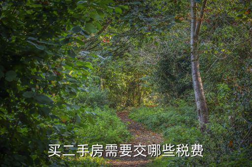 買二手房需要交哪些稅費