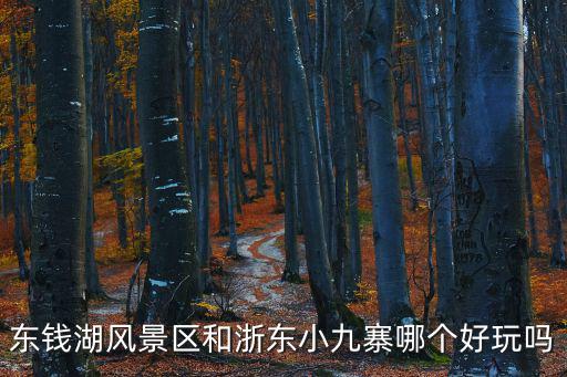 東錢(qián)湖風(fēng)景區(qū)和浙東小九寨哪個(gè)好玩嗎