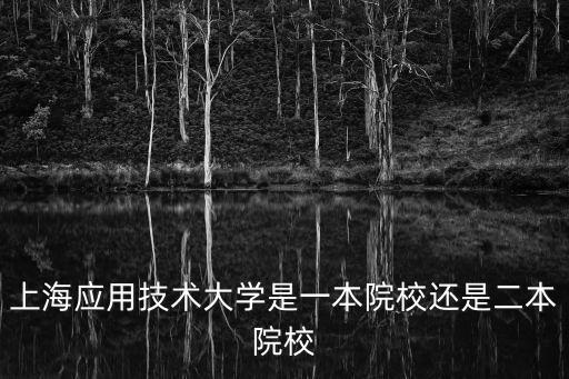 上海應用技術大學是一本還是二本，上海應用技術大學是一本院校還是二本院校