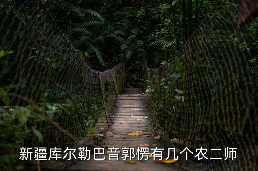 新疆庫(kù)爾勒巴音郭愣有幾個(gè)農(nóng)二師