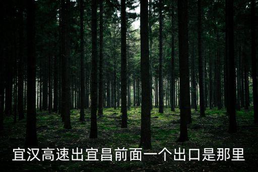 宜漢高速出宜昌前面一個出口是那里