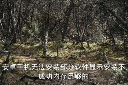 安卓手機無法安裝部分軟件顯示安裝不成功內存足夠的