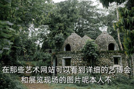 在那些藝術(shù)網(wǎng)站可以看到詳細(xì)的藝博會和展覽現(xiàn)場的圖片呢本人不