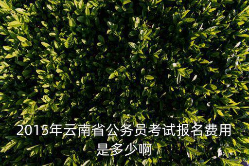 2015年云南省公務員考試報名費用是多少啊
