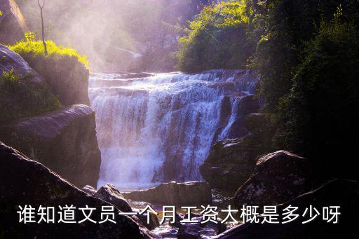 誰(shuí)知道文員一個(gè)月工資大概是多少呀