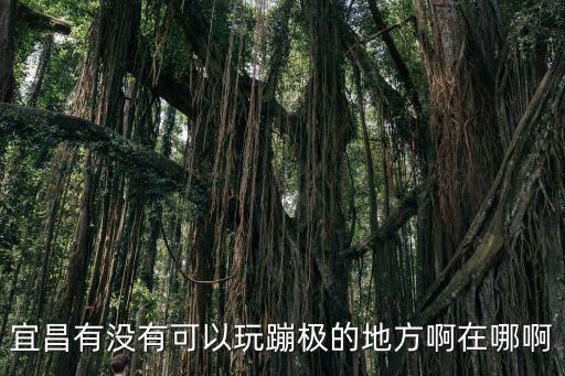 宜昌有沒有可以玩蹦極的地方啊在哪啊