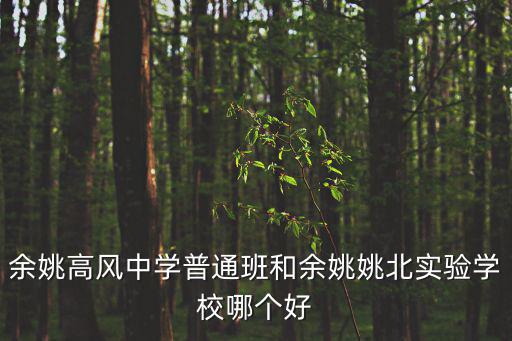 余姚高風(fēng)中學(xué)普通班和余姚姚北實(shí)驗(yàn)學(xué)校哪個好