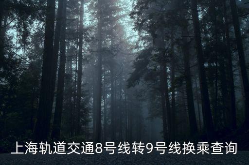 上海軌道交通8號線轉9號線換乘查詢